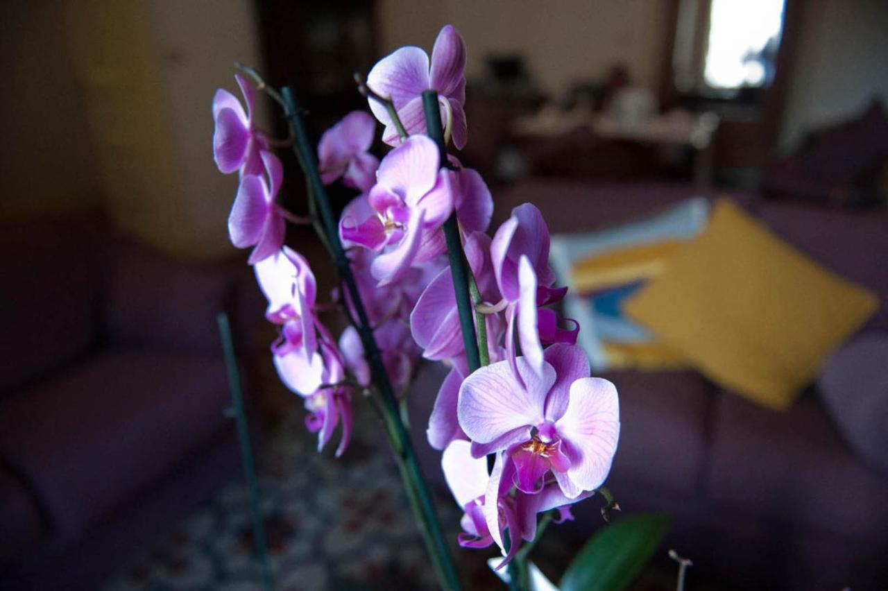 Ivana B&B Catania Luaran gambar